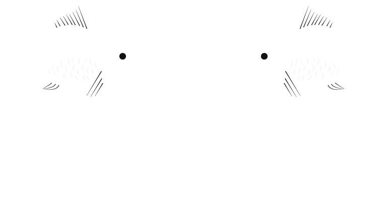 Neptune Fish & Shish